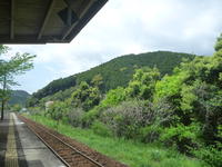 生徒が撮った写真①